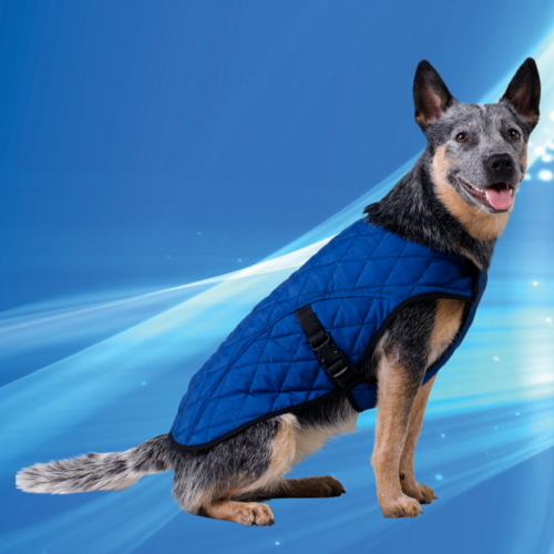 Aqua Coolkeeper JACKET manteau rafraîchissant pour chien