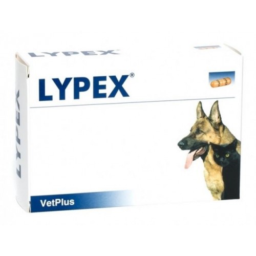 Vetplus Lypex pour chien et char