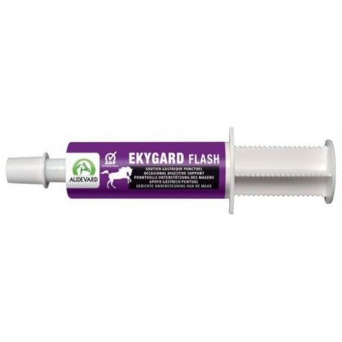 Audevard Ekygard Flash pour chevaux