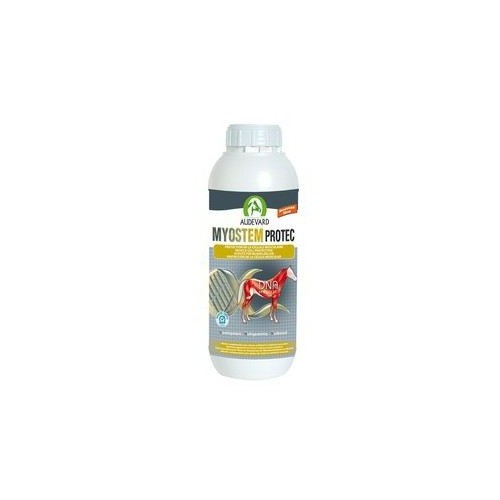 Audevard Myostem Protec pour chevaux