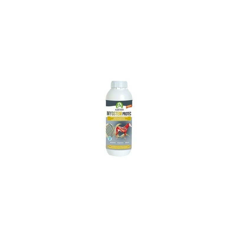 Audevard Myostem Protec pour chevaux