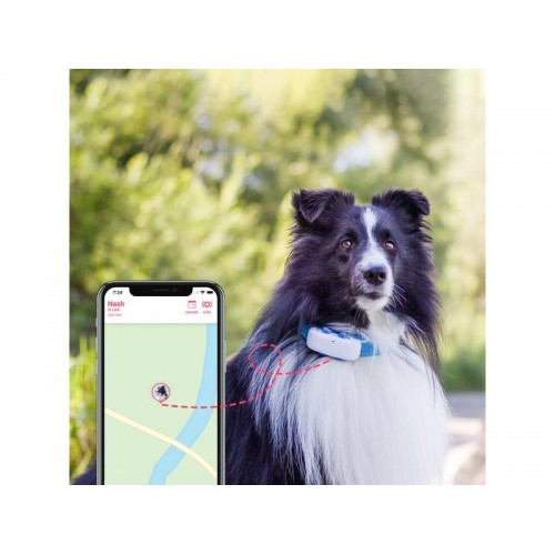 Tractive Traceur GPS LTE pour chien