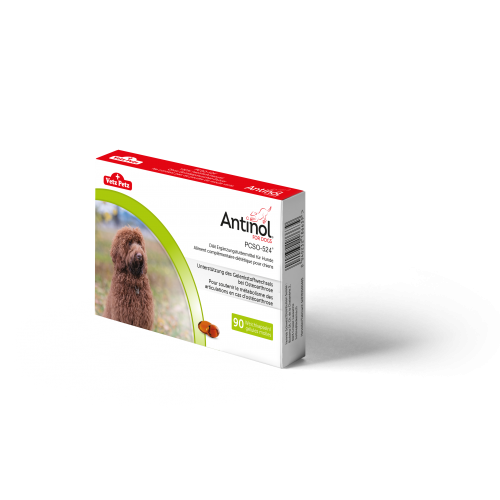 Antinol pour chien