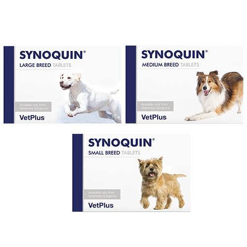 Synoquin EFA pour chien et chat