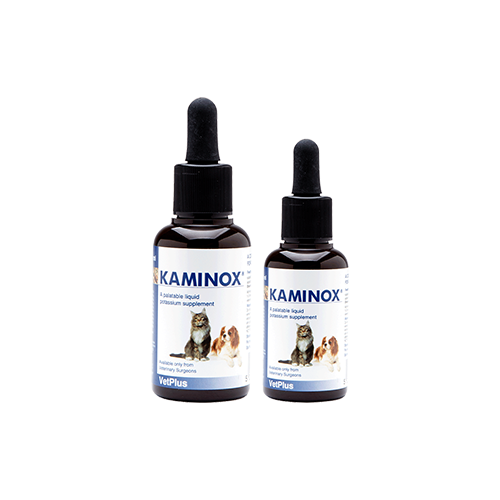 Kaminox liquide pour chien et chat