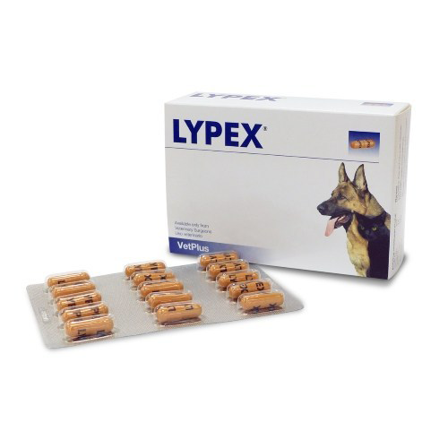 Vetplus Lypex pour chien et char