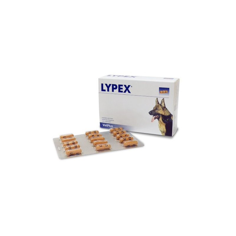 Vetplus Lypex pour chien et char