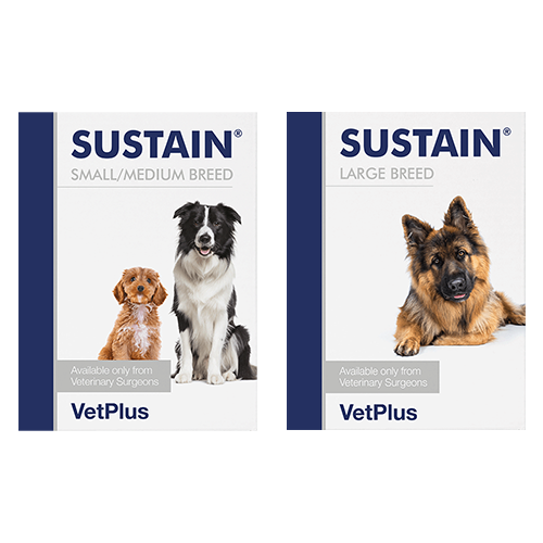 Vetplus Lypex pour chien et char