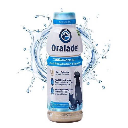 Oralade GI Support pour chien et chat 500 ml