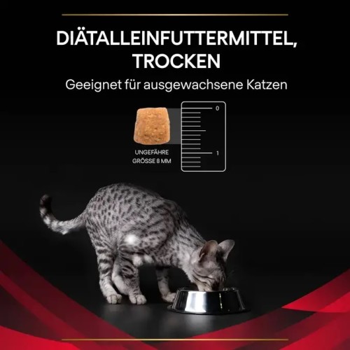 Purina Veterinary Diets Feline DM Diabetes Management - croquettes