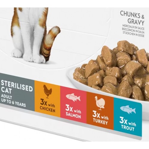 Hill's Science Plan Feline Delicious Selection STERILISED 4 saveurs - en sauce - sachet 12x85g