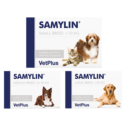 Vetplus Lypex pour chien et char