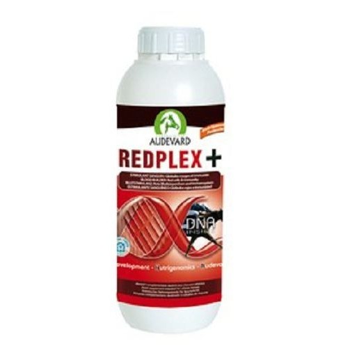 Audevard Redplex Plus pour chevaux