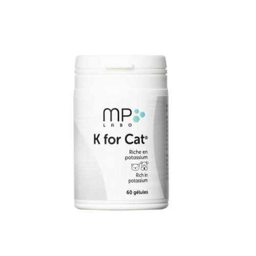 K for Cat MP pour chien et chat, 60 gélules