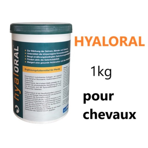 Hyaloral Virbac complément alimentaire pour chevaux 1kg